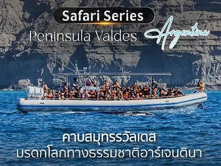 เที่ยว Peninsula Valdes อาร์เจนตินา ชมวาฬและเพนกวิน